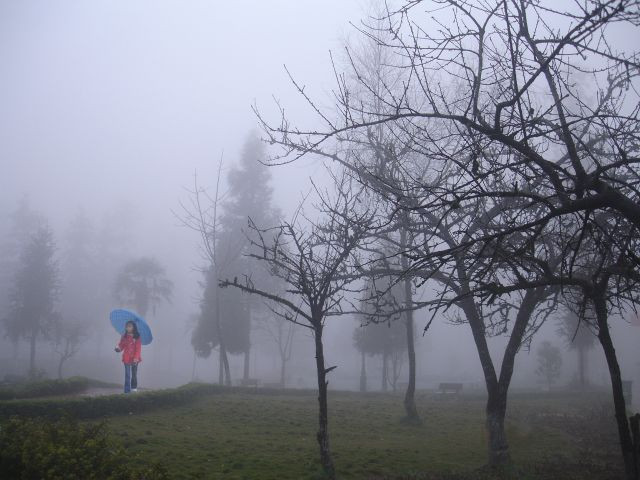 Sương mù có độc không?