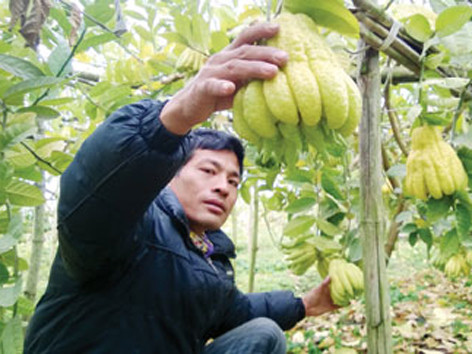Làng tỷ phú nhờ “bàn tay Phật”