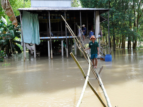Mưa lớn hoành hành, lũ tiếp tục lên