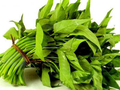 Bài thuốc hay từ rau muống