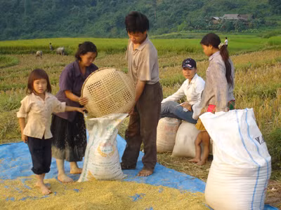 Nhiều chính sách mới hỗ trợ người nghèo