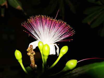 Những khoảnh khắc Trường Sa