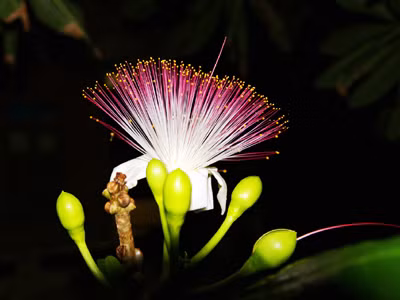 Những khoảnh khắc Trường Sa