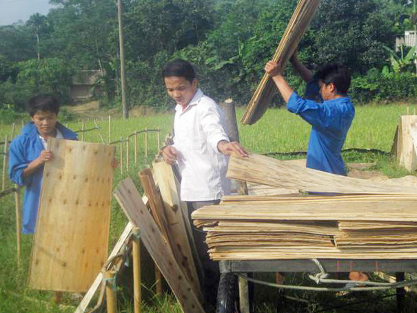 Nguyễn Mạnh Thường (thứ hai từ trái sang) tại cơ sở sản xuất ván bóc