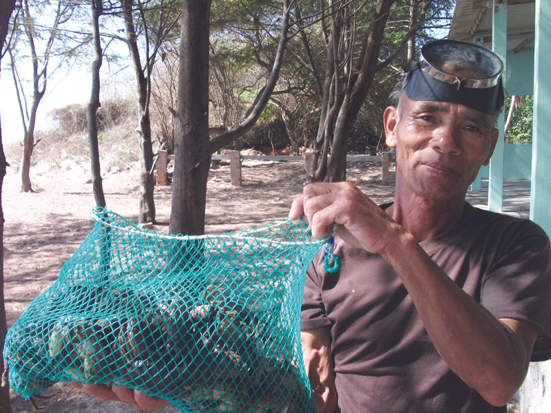 Một buổi thu hoạch diêu của ông Lượm Ảnh: Minh Chiến