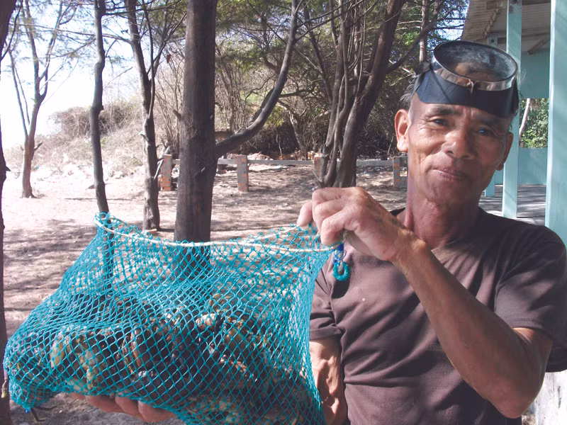 Một buổi thu hoạch diêu của ông Lượm Ảnh: Minh Chiến