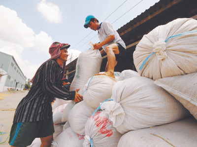 Thương hiệu lúa gạo - phải một thập kỷ nữa?