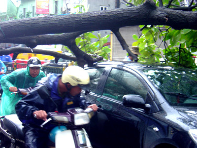 Hà Nội mưa to, đường ngập, cây đổ, giao thông loạn