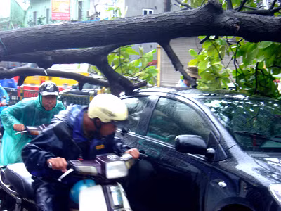 Hà Nội mưa to, đường ngập, cây đổ, giao thông loạn