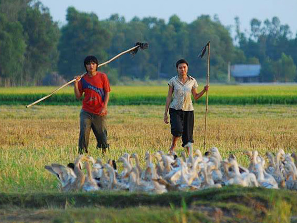 Nghệ sĩ đếm ngược chờ LHP Việt Nam