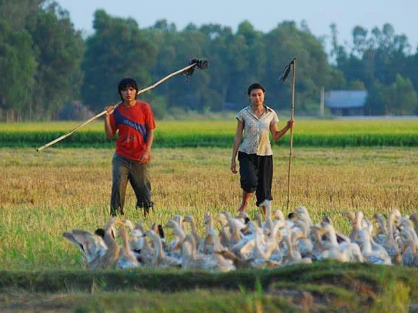 Nghệ sĩ đếm ngược chờ LHP Việt Nam