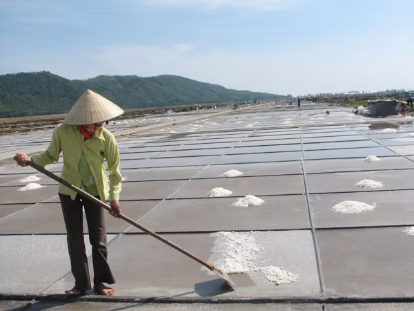 Diêm dân bỏ nghề