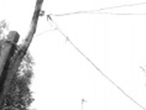 Đường dây điện mắc trên cột tre mục