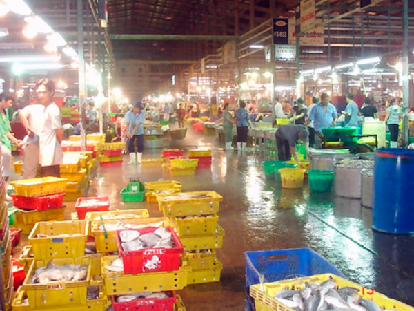 Nhiều sai phạm tài chính, xây dựng cơ bản