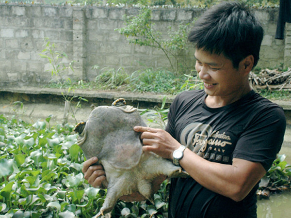 Hoàng Trọng Hợp lập nghiệp từ nguồn vốn vay của T.Ư Đoàn