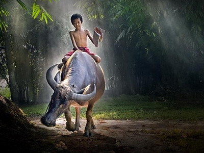 Quê hương đẹp đến lạ thường