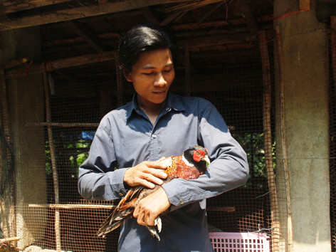 Cử nhân nuôi chim trĩ