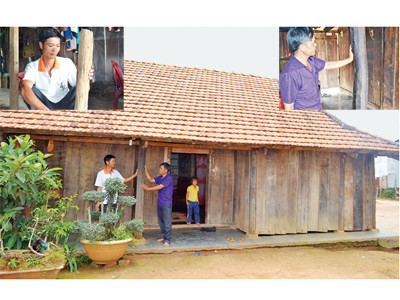 Đến lượt sốt mua gom gỗ trắc