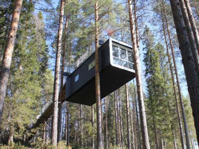 Độc đáo 'khách sạn cây'