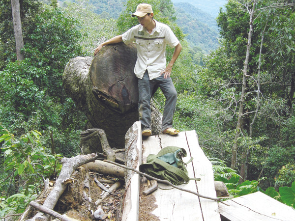 Bắc Trà My, những rung chấn ngoài động đất