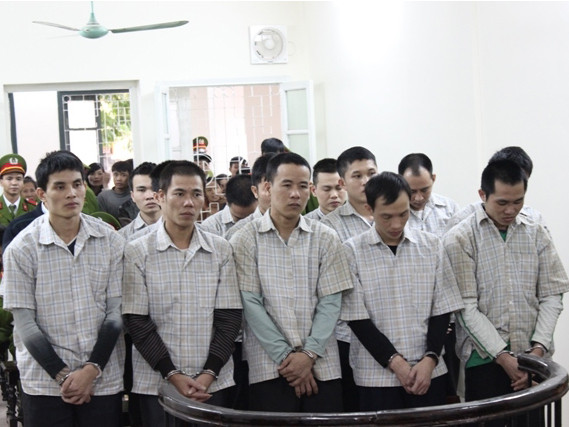 Nhóm thanh niên lêu lổng trộm sưa xuyên miền Bắc