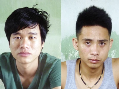 Nổ súng chặn xe “điên” chở gà lậu