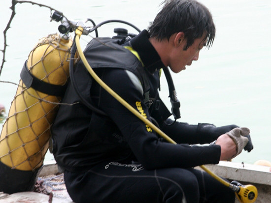 Cận cảnh 'lực lượng đặc nhiệm' đưa 'cụ' Rùa lên bờ