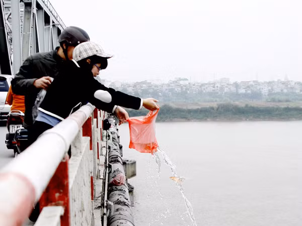 Phóng cá chết, túi nilon ngày Ông Táo