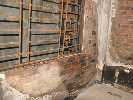 Bí ẩn bé gái 11 tuổi có khả năng gây cháy