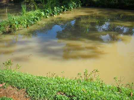Hà Tĩnh: Học sinh lớp 8 chết đuối dưới ao cá