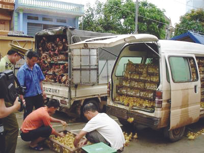 Thực phẩm bẩn ồ ạt nhập lậu