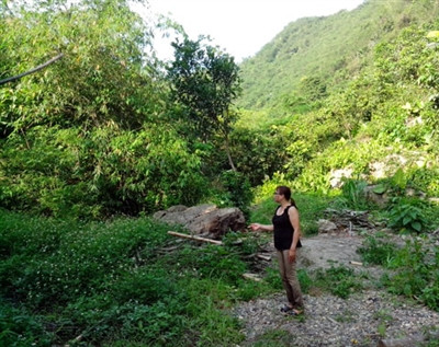 Đất trang trại Sóc Sơn giá bằng cốc trà đá