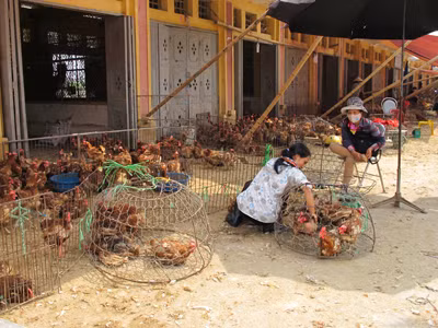 Lờ chỉ đạo của Thủ tướng?