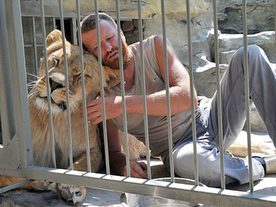 Sống năm tuần trong lồng sắt cùng sư tử