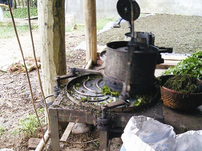 Công khai đối tượng sản xuất chè bẩn