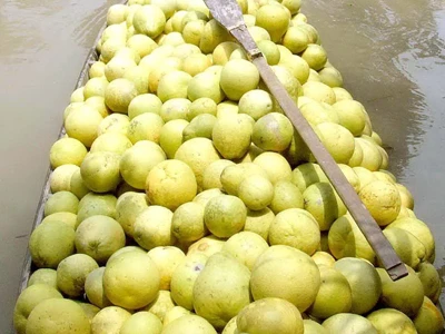 Cận Tết, trái cây đặc sản tăng giá