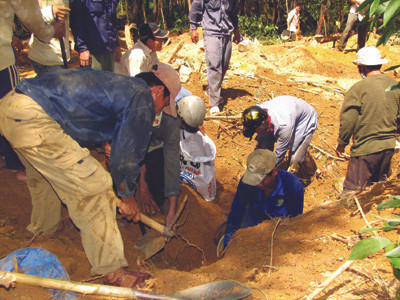 Cày nát núi đồi vì tin đồn trúng vàng khối