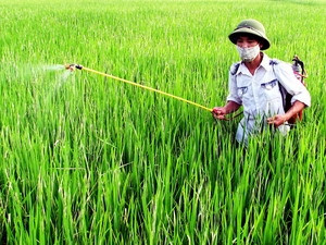 Hai loại thuốc trừ sâu có liên quan đến bệnh Parkinson