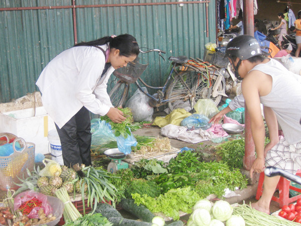 Kiểm tra formol trong cải thảo nhập từ Trung Quốc