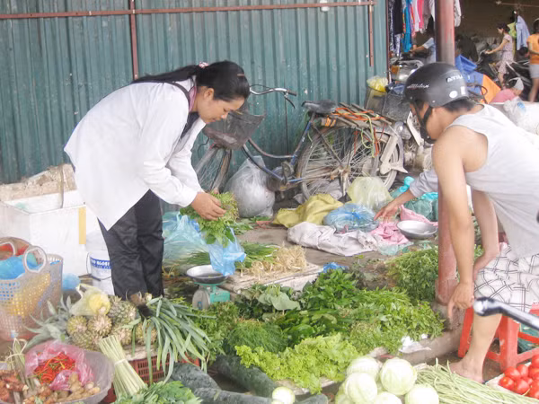 Kiểm tra formol trong cải thảo nhập từ Trung Quốc