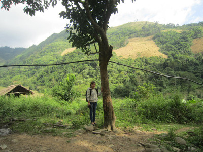 Tìm thấy vườn bưởi của bộ đội Tây Tiến