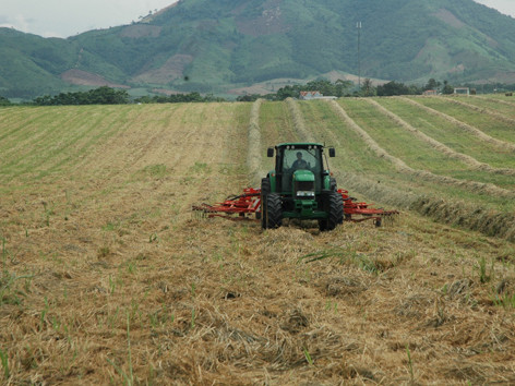 Làm nông nghiệp thôi thì chỉ ổn, không giàu