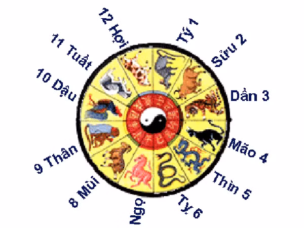 Giải mã về Tứ hành xung