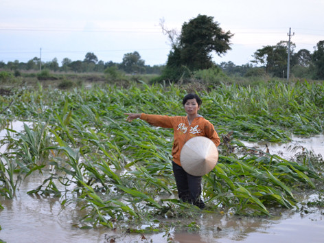 Vỡ kênh dẫn dòng thủy điện Sêrêpốk 4A