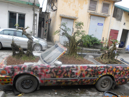 Hết thời, xế hộp thành chậu cây cảnh