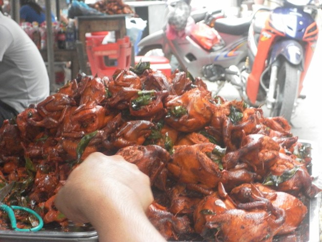 Chim quay Ninh Hiệp có màu gạch non nhờ... bột sắt