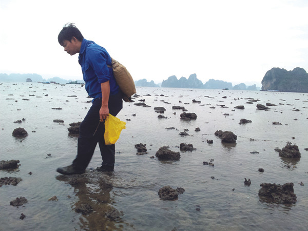 Mưu sinh ở đáy kỳ quan