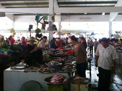 Cơ quan chức năng vào cuộc vụ cá diêu hồng nhiễm chất cấm