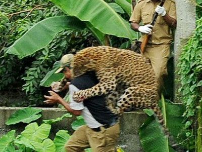 Hãi hùng cảnh báo nhảy lên cắn cổ kiểm lâm