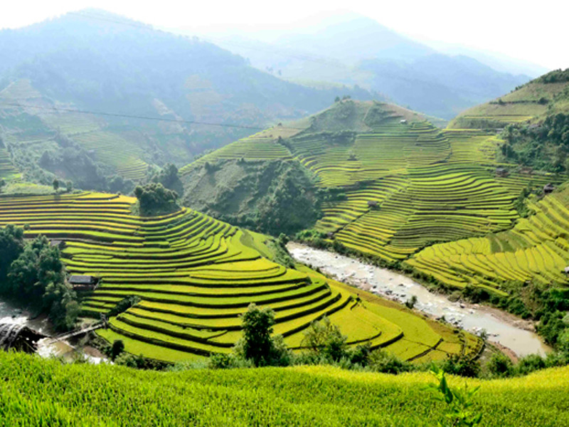 Thang vàng ai bỏ giữa trời...